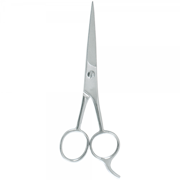 Professional Hair Styling Scissors