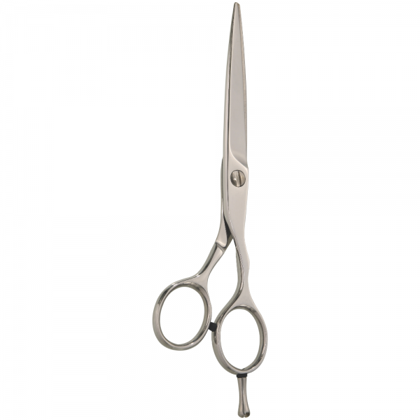 Professional Hair Styling Scissors