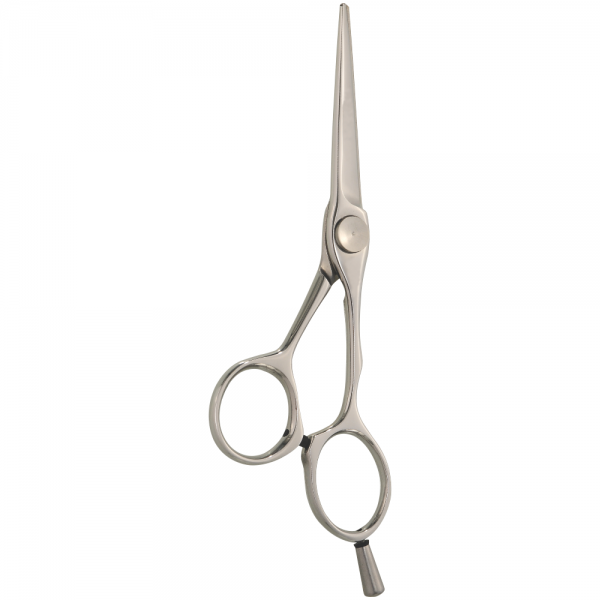 Professional Hair Styling Scissors