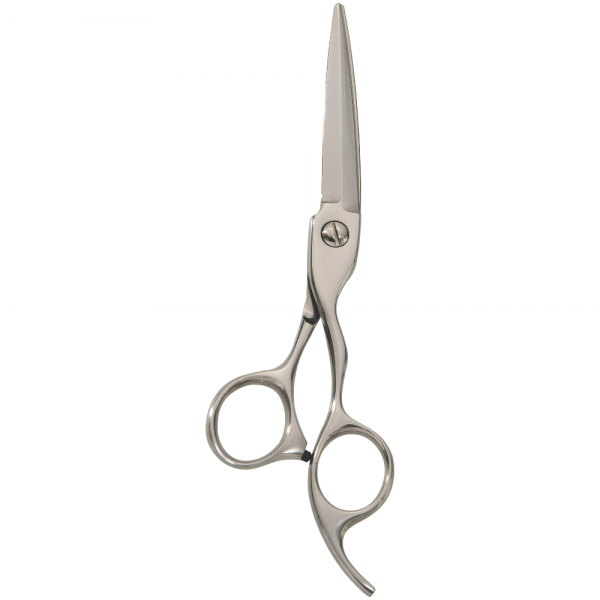 Professional Hair Styling Scissors