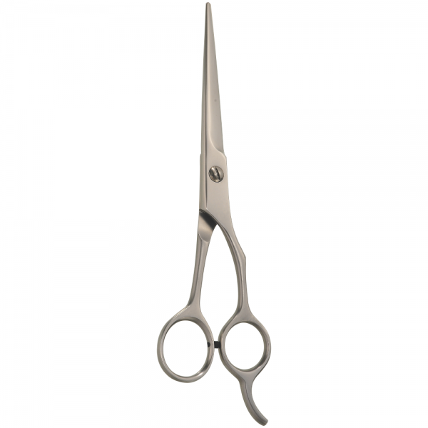 Professional Hair Styling Scissors