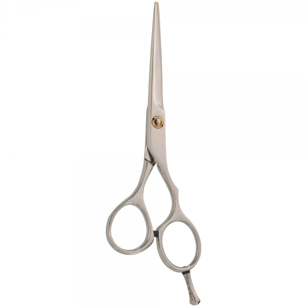 Professional Hair Styling Scissors