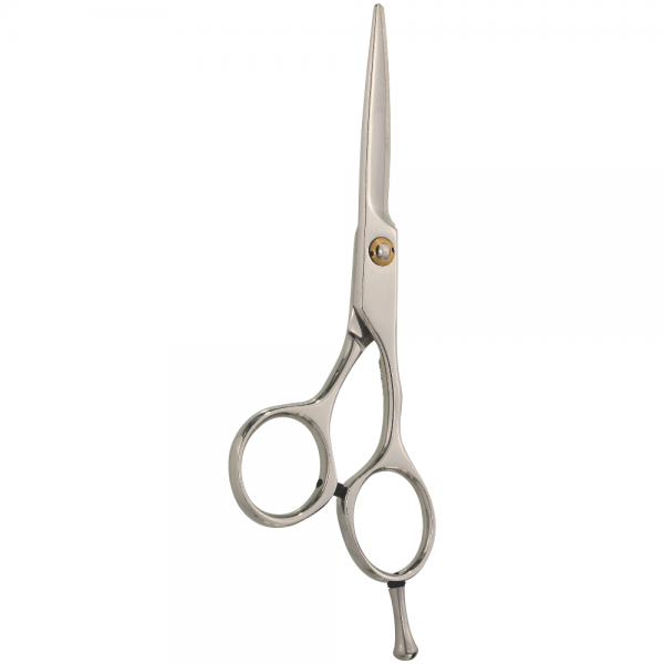 Professional Hair Styling Scissors