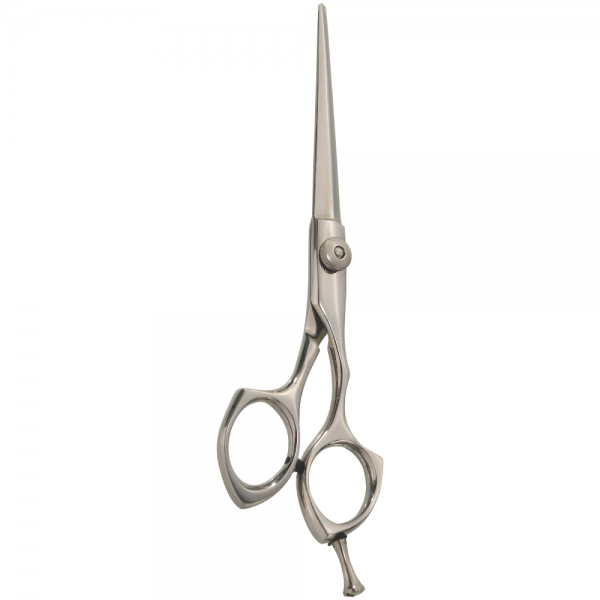 Professional Hair Styling Scissors