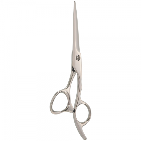 Professional Hair Styling Scissors