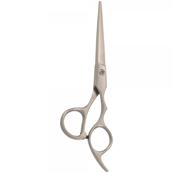 Professional Hair Styling Scissors